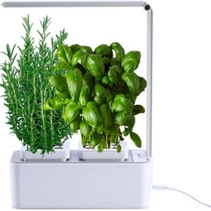 Smart Green SMALL